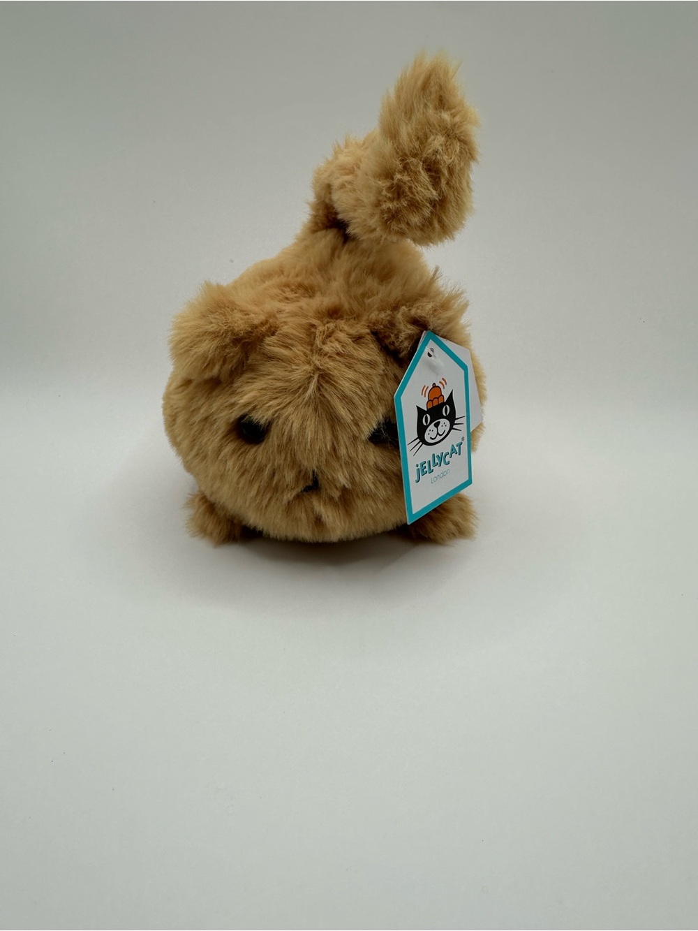 NWT Retired Jellycat Ginger kitten caboodle
